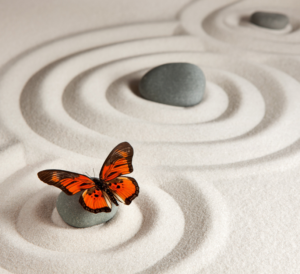 médiateurs à Valence